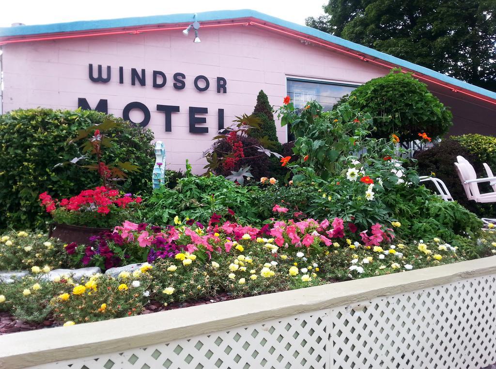 לייק ג'ורג' Windsor Motel מראה חיצוני תמונה